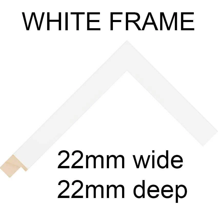 Multi Photo Picture Frame - Holds 4 4" x 6" Photos in a White Frame - Image 5